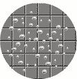Bubbles in spin coating film